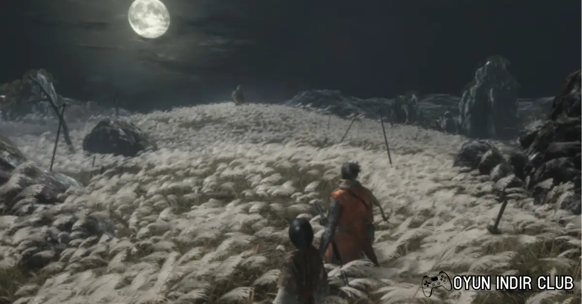 Sekiro Torrent İndir