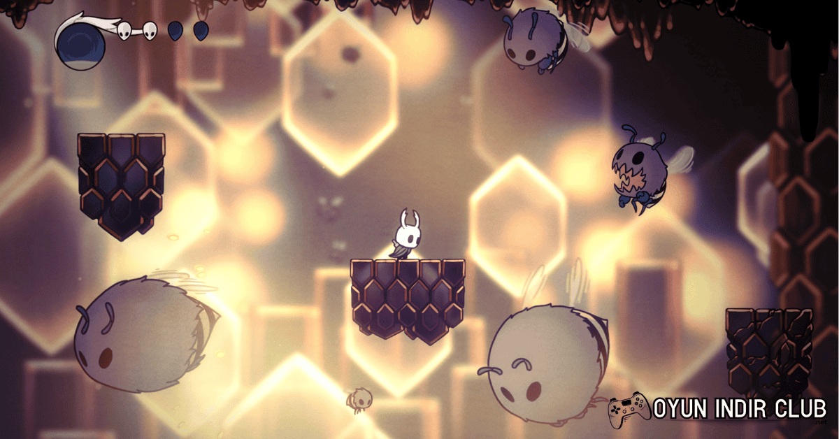 Hollow Knight İndir 