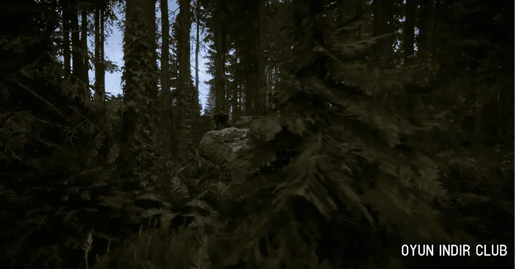 Sons of The Forest İndir