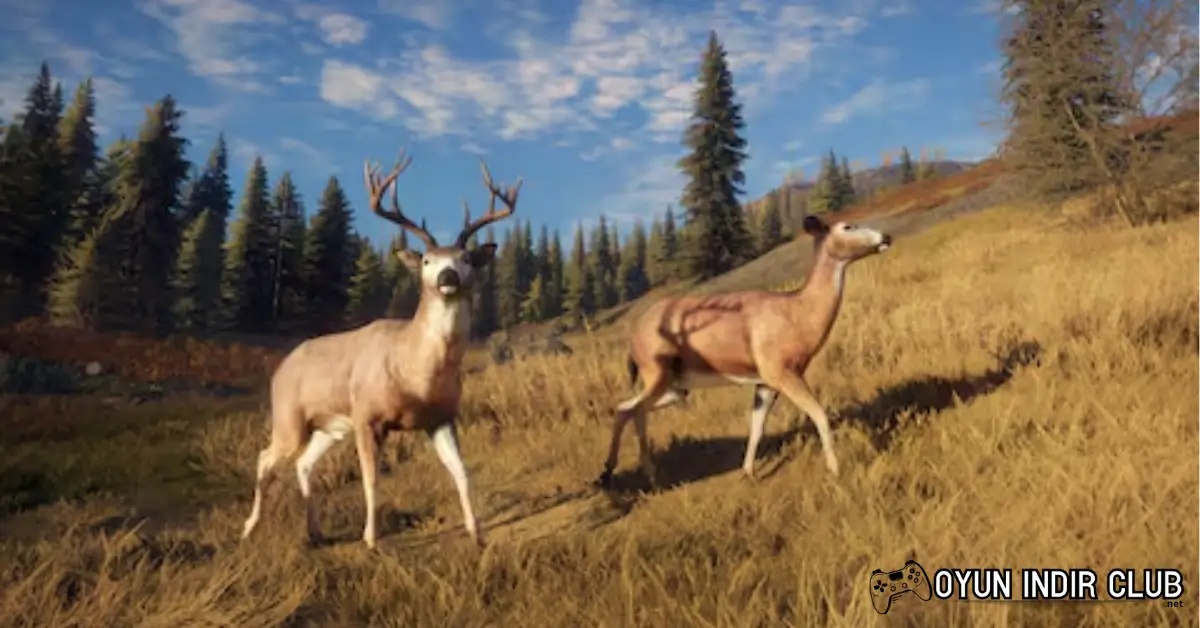 The Hunter Call of the Wild İndir